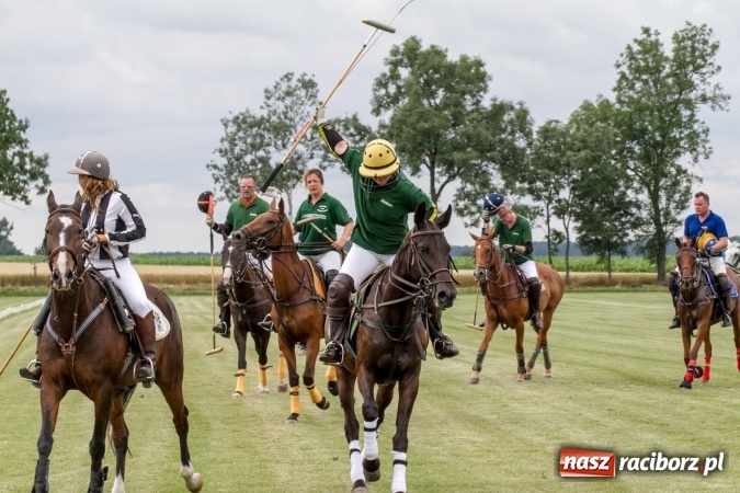 Zdjęcie w galerii na portalu naszraciborz.pl: W Zakrzowie trwa Silesia Summer Classic Polo Cup wiadomości z regionu