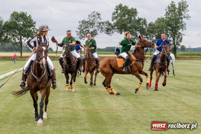 Zdjęcie w galerii na portalu naszraciborz.pl: W Zakrzowie trwa Silesia Summer Classic Polo Cup wiadomości z regionu