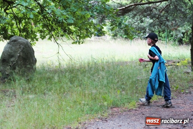 Zdjęcie w galerii na portalu naszraciborz.pl: Deszczowe poszukiwanie Koziołka w Rudzie Kozielskiej  wiadomości z regionu