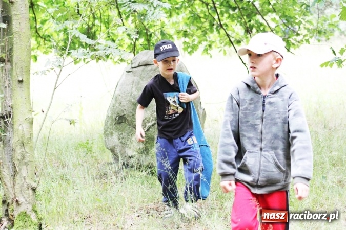 Zdjęcie w galerii na portalu naszraciborz.pl: Deszczowe poszukiwanie Koziołka w Rudzie Kozielskiej  wiadomości z regionu