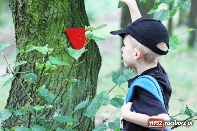Zdjęcie w galerii na portalu naszraciborz.pl: Deszczowe poszukiwanie Koziołka w Rudzie Kozielskiej  wiadomości z regionu