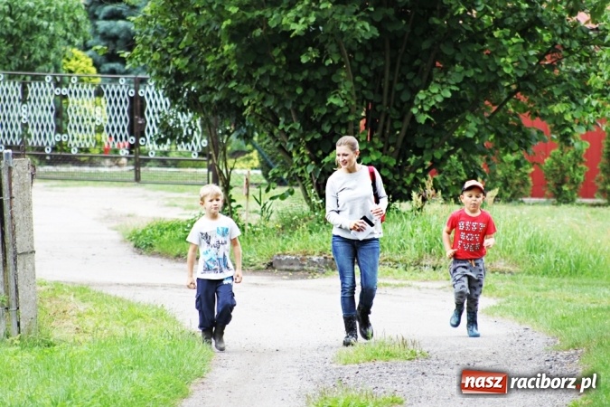 Zdjęcie w galerii na portalu naszraciborz.pl: Deszczowe poszukiwanie Koziołka w Rudzie Kozielskiej  wiadomości z regionu