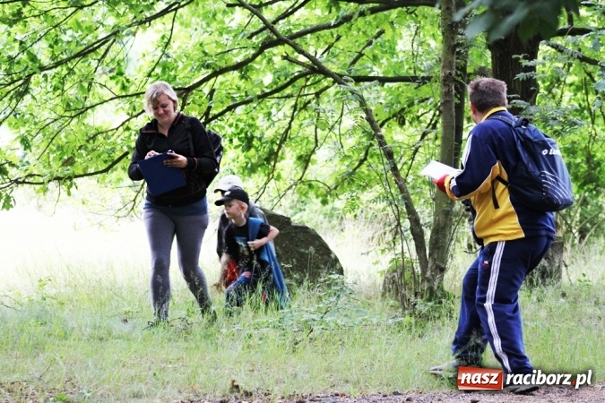 Zdjęcie w galerii na portalu naszraciborz.pl: Deszczowe poszukiwanie Koziołka w Rudzie Kozielskiej  wiadomości z regionu