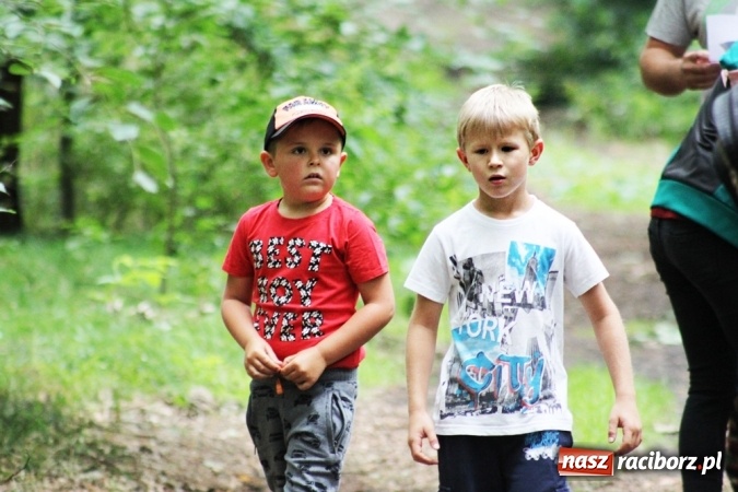 Zdjęcie w galerii na portalu naszraciborz.pl: Deszczowe poszukiwanie Koziołka w Rudzie Kozielskiej  wiadomości z regionu