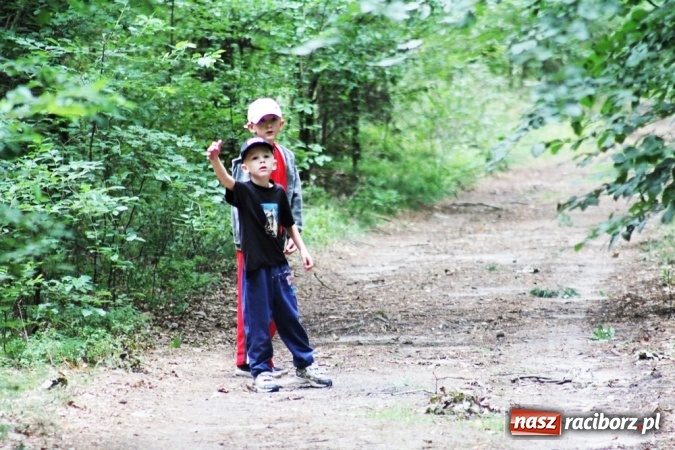 Zdjęcie w galerii na portalu naszraciborz.pl: Deszczowe poszukiwanie Koziołka w Rudzie Kozielskiej  wiadomości z regionu
