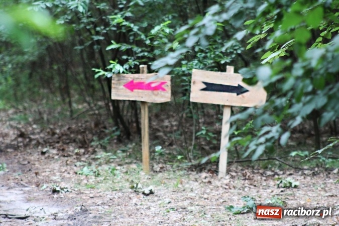 Zdjęcie w galerii na portalu naszraciborz.pl: Deszczowe poszukiwanie Koziołka w Rudzie Kozielskiej  wiadomości z regionu