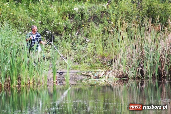 Zdjęcie w galerii na portalu naszraciborz.pl: Wędkarze walczyli na Ostrogu o Puchar Starosty Raciborskiego wiadomości z regionu