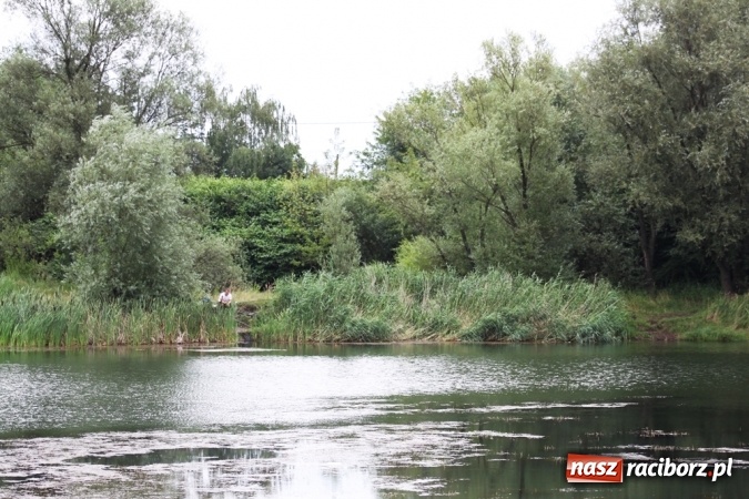 Zdjęcie w galerii na portalu naszraciborz.pl: Wędkarze walczyli na Ostrogu o Puchar Starosty Raciborskiego wiadomości z regionu