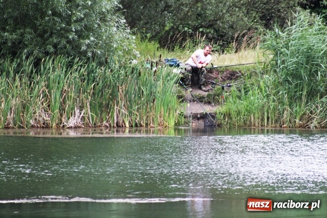 Zdjęcie w galerii na portalu naszraciborz.pl: Wędkarze walczyli na Ostrogu o Puchar Starosty Raciborskiego wiadomości z regionu