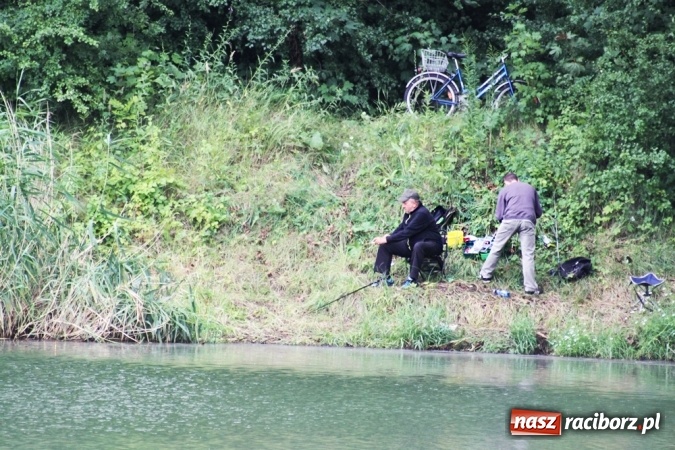 Zdjęcie w galerii na portalu naszraciborz.pl: Wędkarze walczyli na Ostrogu o Puchar Starosty Raciborskiego wiadomości z regionu