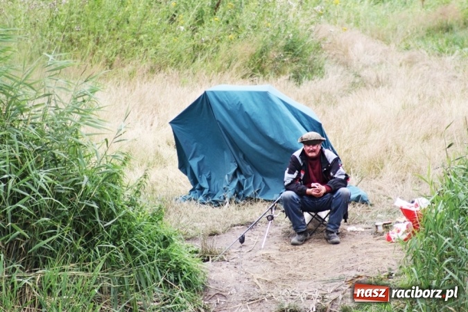 Zdjęcie w galerii na portalu naszraciborz.pl: Wędkarze walczyli na Ostrogu o Puchar Starosty Raciborskiego wiadomości z regionu