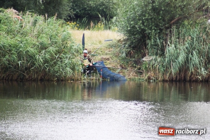 Zdjęcie w galerii na portalu naszraciborz.pl: Wędkarze walczyli na Ostrogu o Puchar Starosty Raciborskiego wiadomości z regionu