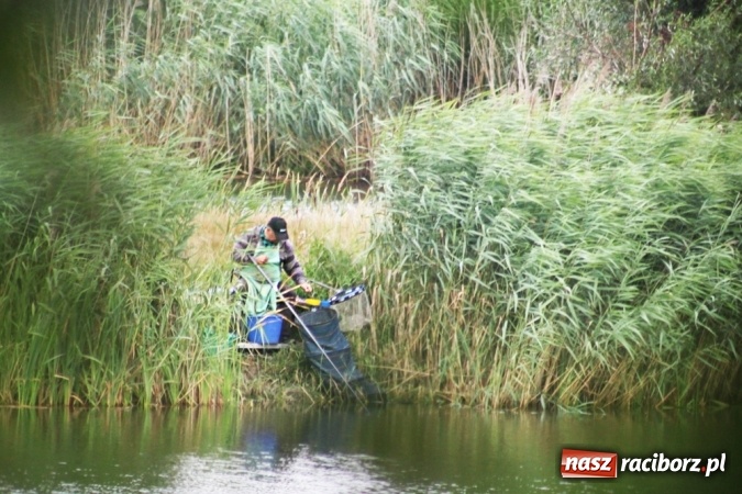 Zdjęcie w galerii na portalu naszraciborz.pl: Wędkarze walczyli na Ostrogu o Puchar Starosty Raciborskiego wiadomości z regionu