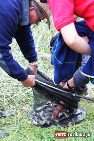 Zdjęcie w galerii na portalu naszraciborz.pl: Wędkarze walczyli na Ostrogu o Puchar Starosty Raciborskiego wiadomości z regionu