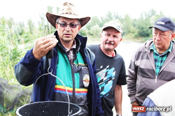 Zdjęcie w galerii na portalu naszraciborz.pl: Wędkarze walczyli na Ostrogu o Puchar Starosty Raciborskiego wiadomości z regionu
