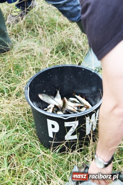 Zdjęcie w galerii na portalu naszraciborz.pl: Wędkarze walczyli na Ostrogu o Puchar Starosty Raciborskiego wiadomości z regionu
