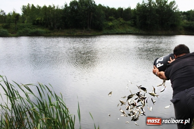 Zdjęcie w galerii na portalu naszraciborz.pl: Wędkarze walczyli na Ostrogu o Puchar Starosty Raciborskiego wiadomości z regionu
