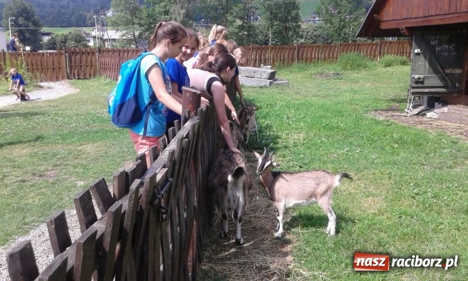 Zdjęcie w galerii na portalu naszraciborz.pl: Szczypiornistki z Pietrowic Wielkich na zgrupowaniu w Brennej  wiadomości z regionu