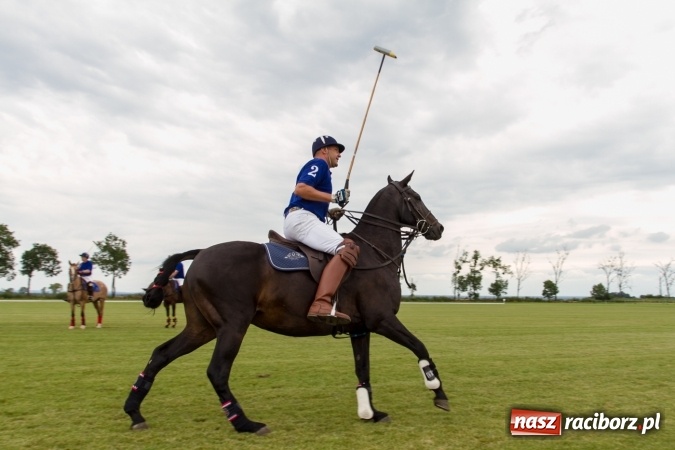 Zdjęcie w galerii na portalu naszraciborz.pl: W Zakrzowie zakończył się Silesia Summer Classic Polo Cup wiadomości z regionu