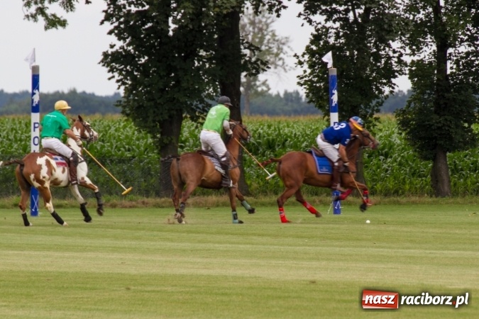 Zdjęcie w galerii na portalu naszraciborz.pl: W Zakrzowie zakończył się Silesia Summer Classic Polo Cup wiadomości z regionu