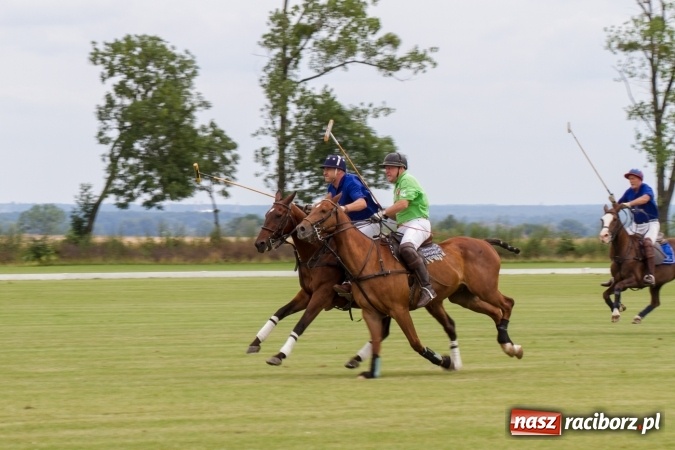 Zdjęcie w galerii na portalu naszraciborz.pl: W Zakrzowie zakończył się Silesia Summer Classic Polo Cup wiadomości z regionu