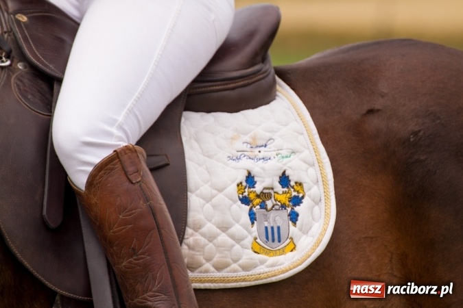 Zdjęcie w galerii na portalu naszraciborz.pl: W Zakrzowie zakończył się Silesia Summer Classic Polo Cup wiadomości z regionu