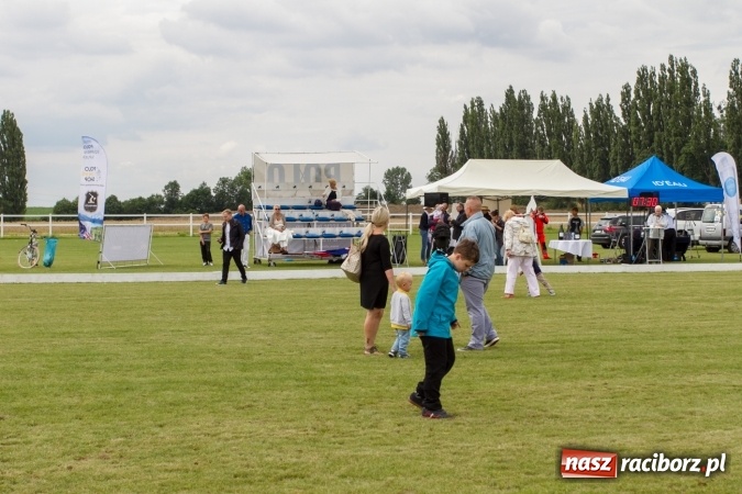 Zdjęcie w galerii na portalu naszraciborz.pl: W Zakrzowie zakończył się Silesia Summer Classic Polo Cup wiadomości z regionu