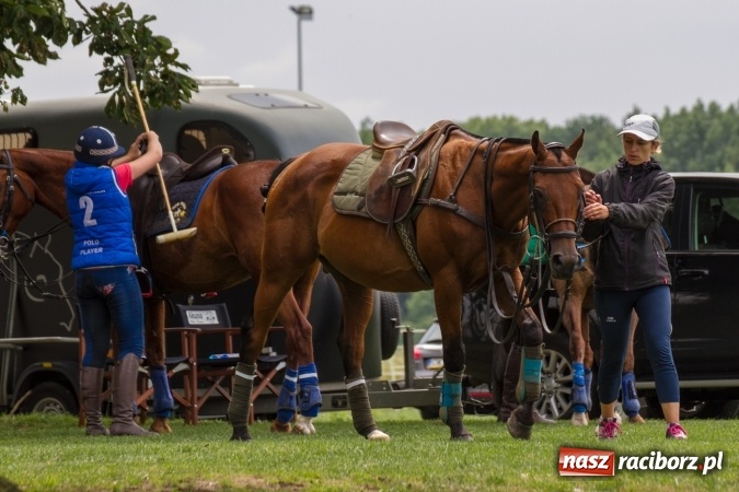 Zdjęcie w galerii na portalu naszraciborz.pl: W Zakrzowie zakończył się Silesia Summer Classic Polo Cup wiadomości z regionu