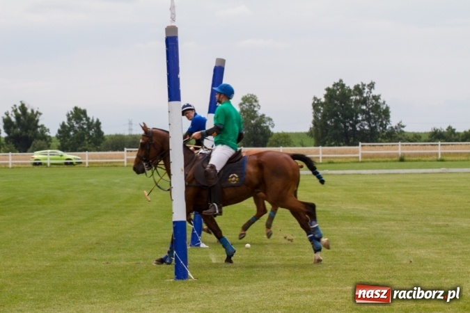 Zdjęcie w galerii na portalu naszraciborz.pl: W Zakrzowie zakończył się Silesia Summer Classic Polo Cup wiadomości z regionu