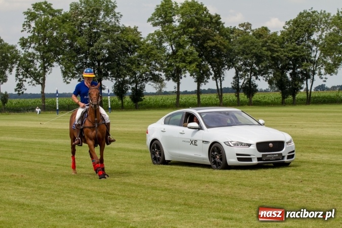 Zdjęcie w galerii na portalu naszraciborz.pl: W Zakrzowie zakończył się Silesia Summer Classic Polo Cup wiadomości z regionu
