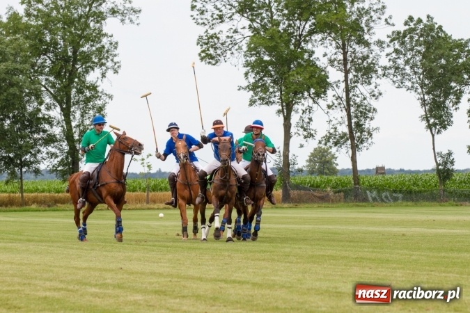 Zdjęcie w galerii na portalu naszraciborz.pl: W Zakrzowie zakończył się Silesia Summer Classic Polo Cup wiadomości z regionu