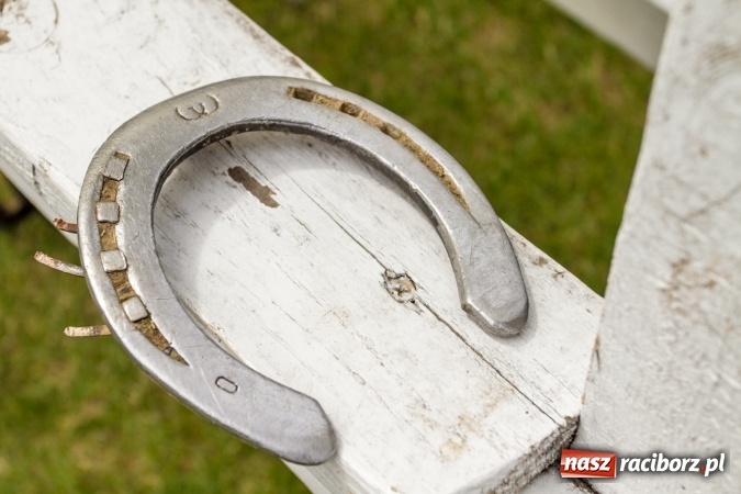 Zdjęcie w galerii na portalu naszraciborz.pl: W Zakrzowie zakończył się Silesia Summer Classic Polo Cup wiadomości z regionu