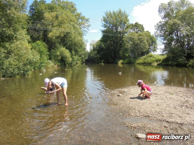 Zdjęcie w galerii na portalu naszraciborz.pl: Tenisiści TKKF Rafako na zgrupowaniu w Opawie  wiadomości z regionu