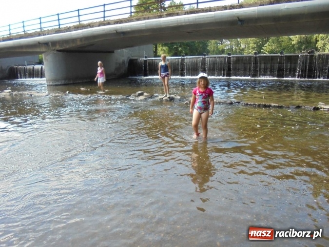Zdjęcie w galerii na portalu naszraciborz.pl: Tenisiści TKKF Rafako na zgrupowaniu w Opawie  wiadomości z regionu