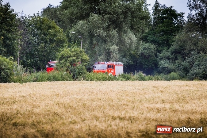 Zdjęcie w galerii na portalu naszraciborz.pl: Komenda powiatowa sprawdziła gotowość bojową raciborskich jednostek OSP wiadomości z regionu