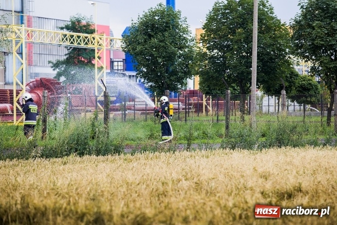 Zdjęcie w galerii na portalu naszraciborz.pl: Komenda powiatowa sprawdziła gotowość bojową raciborskich jednostek OSP wiadomości z regionu