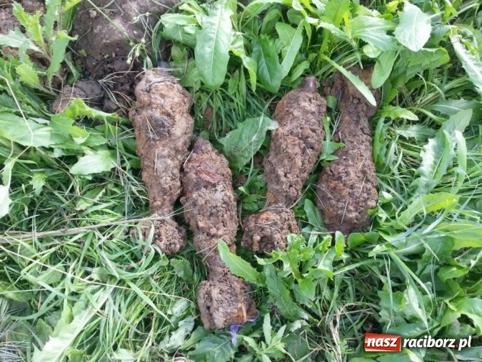 Zdjęcie w galerii na portalu naszraciborz.pl: W Krzyżanowicach natrafiono na groźne pamiątki po II wojnie światowej wiadomości z regionu