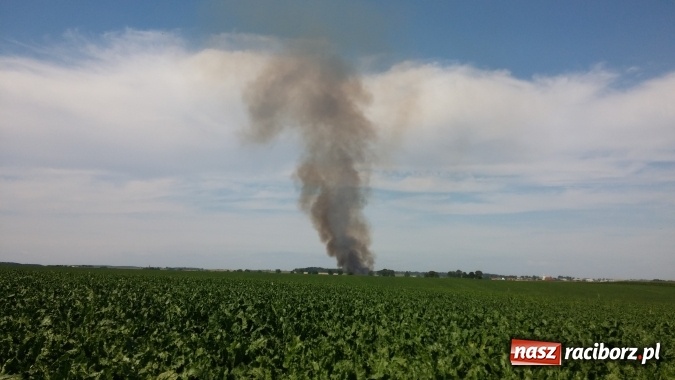 Zdjęcie w galerii na portalu naszraciborz.pl: Pożar zboża na pniu pomiędzy Pietrowicami Wielkimi a Tłustomostami wiadomości z regionu