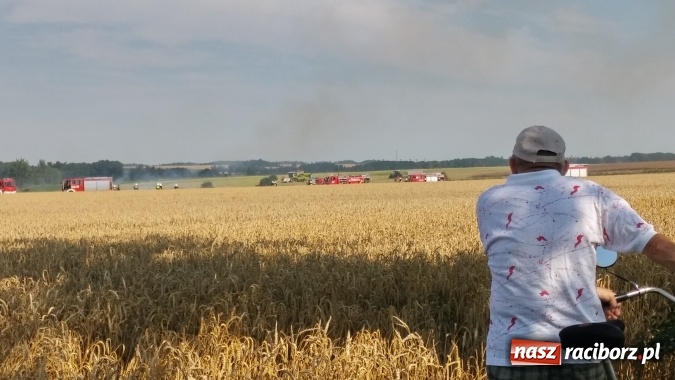 Zdjęcie w galerii na portalu naszraciborz.pl: Pożar zboża na pniu pomiędzy Pietrowicami Wielkimi a Tłustomostami wiadomości z regionu