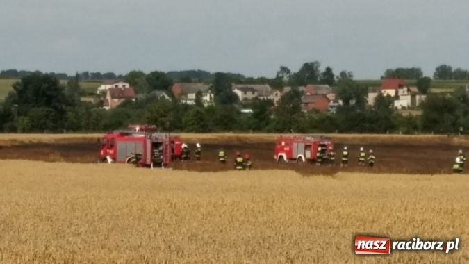 Zdjęcie w galerii na portalu naszraciborz.pl: Pożar zboża na pniu pomiędzy Pietrowicami Wielkimi a Tłustomostami wiadomości z regionu