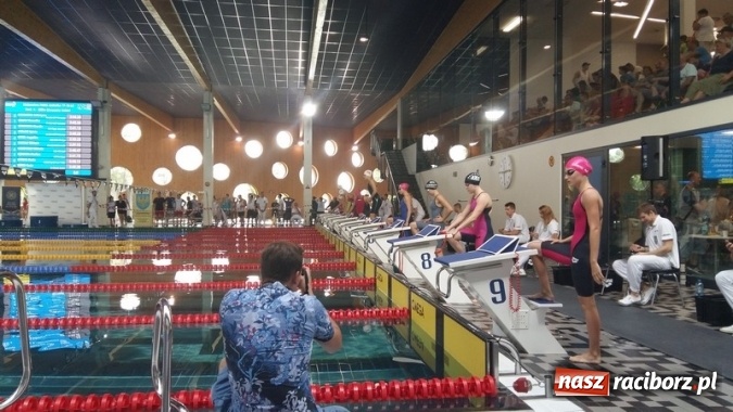 Zdjęcie w galerii na portalu naszraciborz.pl: Pływanie. Medale raciborzan na zakończenie sezonu wiadomości z regionu