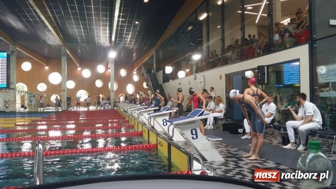 Zdjęcie w galerii na portalu naszraciborz.pl: Pływanie. Medale raciborzan na zakończenie sezonu wiadomości z regionu