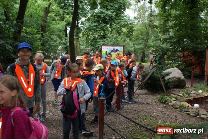 Zdjęcie w galerii na portalu naszraciborz.pl: Wakacje w M5 - bogaty w atrakcje ostatni tydzień zabaw wiadomości z regionu