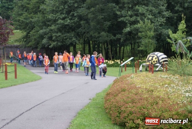 Zdjęcie w galerii na portalu naszraciborz.pl: Wakacje w M5 - bogaty w atrakcje ostatni tydzień zabaw wiadomości z regionu