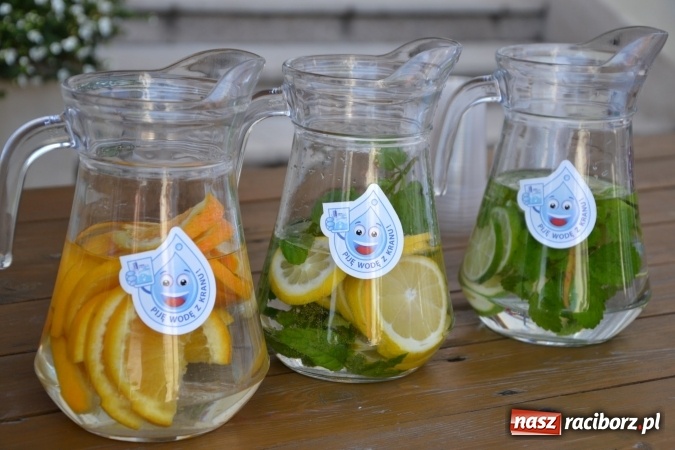 Zdjęcie w galerii na portalu naszraciborz.pl: Światowe Dni Młodzieży na Zamku Piastowskim w Raciborzu - koncertowały Armia Dzieci i Przecinek  wiadomości z regionu