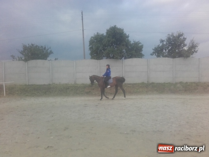 Zdjęcie w galerii na portalu naszraciborz.pl: Zwierzę najlepszym przyjacielem człowieka - przekonaj się o tym w minizoo w Gamowie! wiadomości z regionu