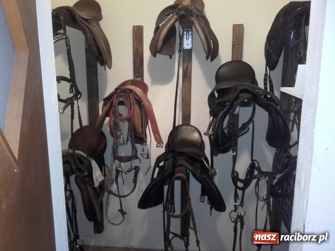 Zdjęcie w galerii na portalu naszraciborz.pl: Zwierzę najlepszym przyjacielem człowieka - przekonaj się o tym w minizoo w Gamowie! wiadomości z regionu