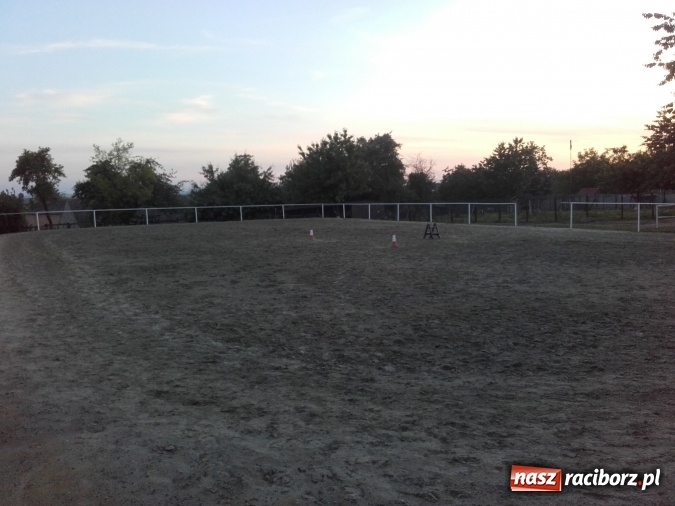Zdjęcie w galerii na portalu naszraciborz.pl: Zwierzę najlepszym przyjacielem człowieka - przekonaj się o tym w minizoo w Gamowie! wiadomości z regionu