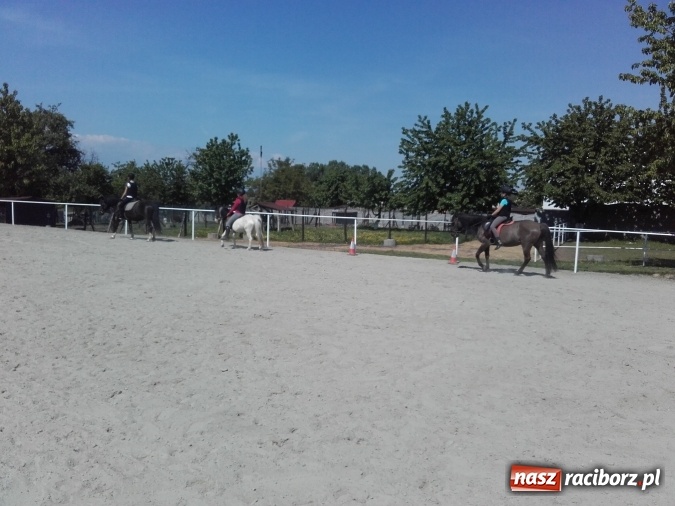 Zdjęcie w galerii na portalu naszraciborz.pl: Zwierzę najlepszym przyjacielem człowieka - przekonaj się o tym w minizoo w Gamowie! wiadomości z regionu