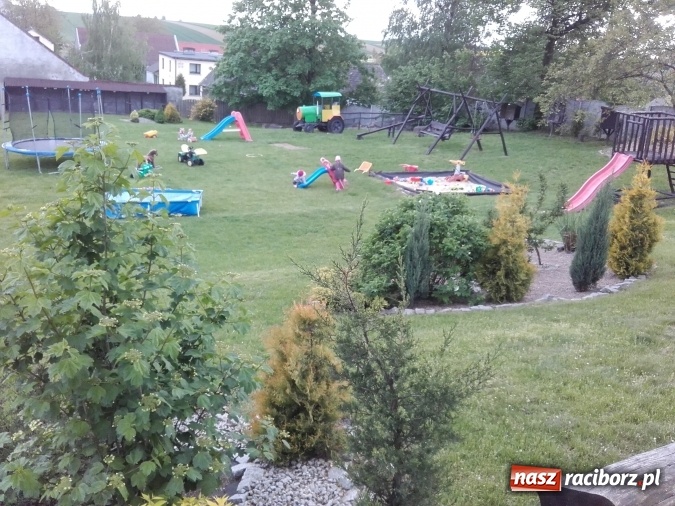 Zdjęcie w galerii na portalu naszraciborz.pl: Zwierzę najlepszym przyjacielem człowieka - przekonaj się o tym w minizoo w Gamowie! wiadomości z regionu